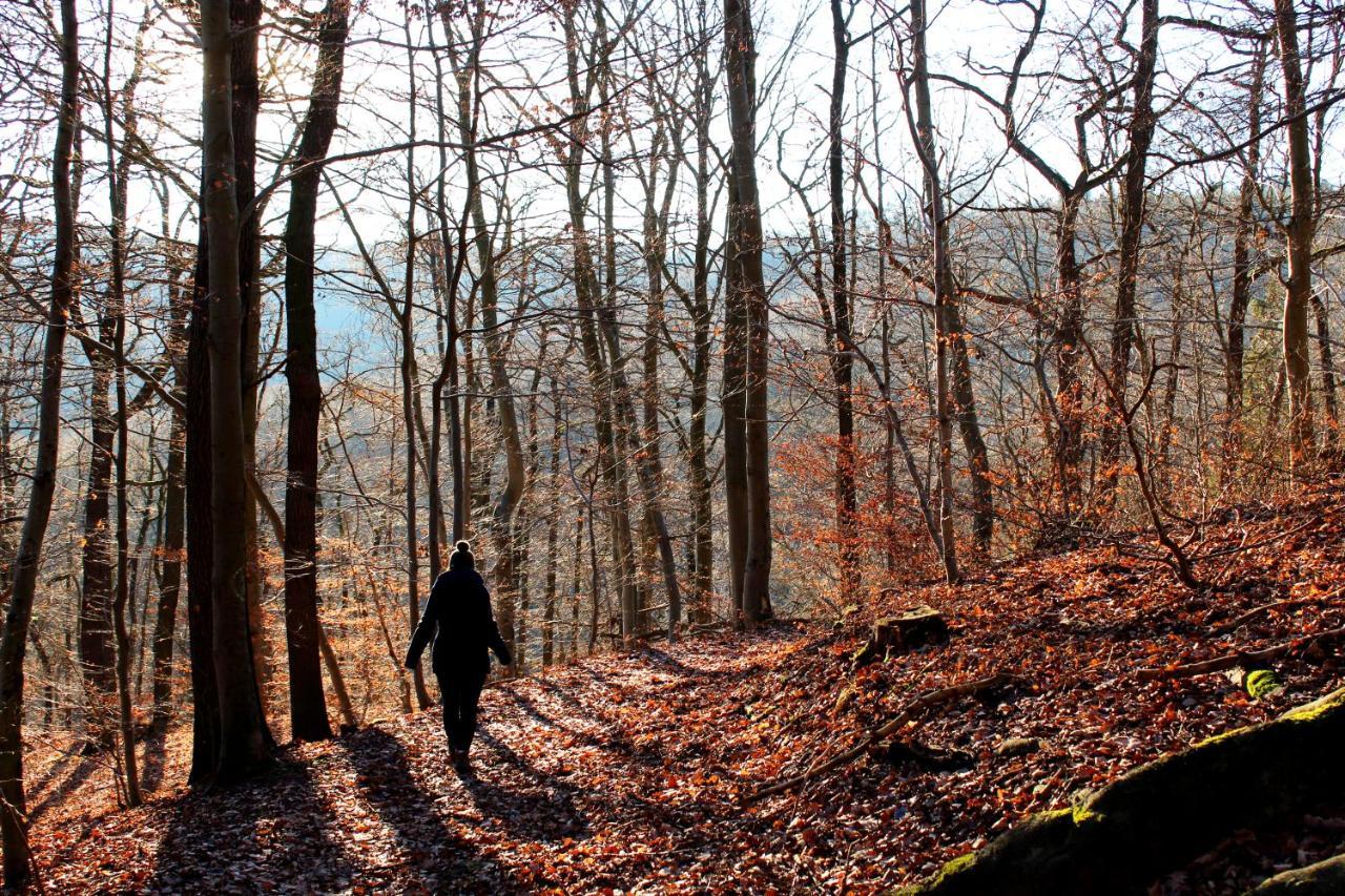 Burghof Kyffhaeuser Bad Frankenhausen Bagian luar foto