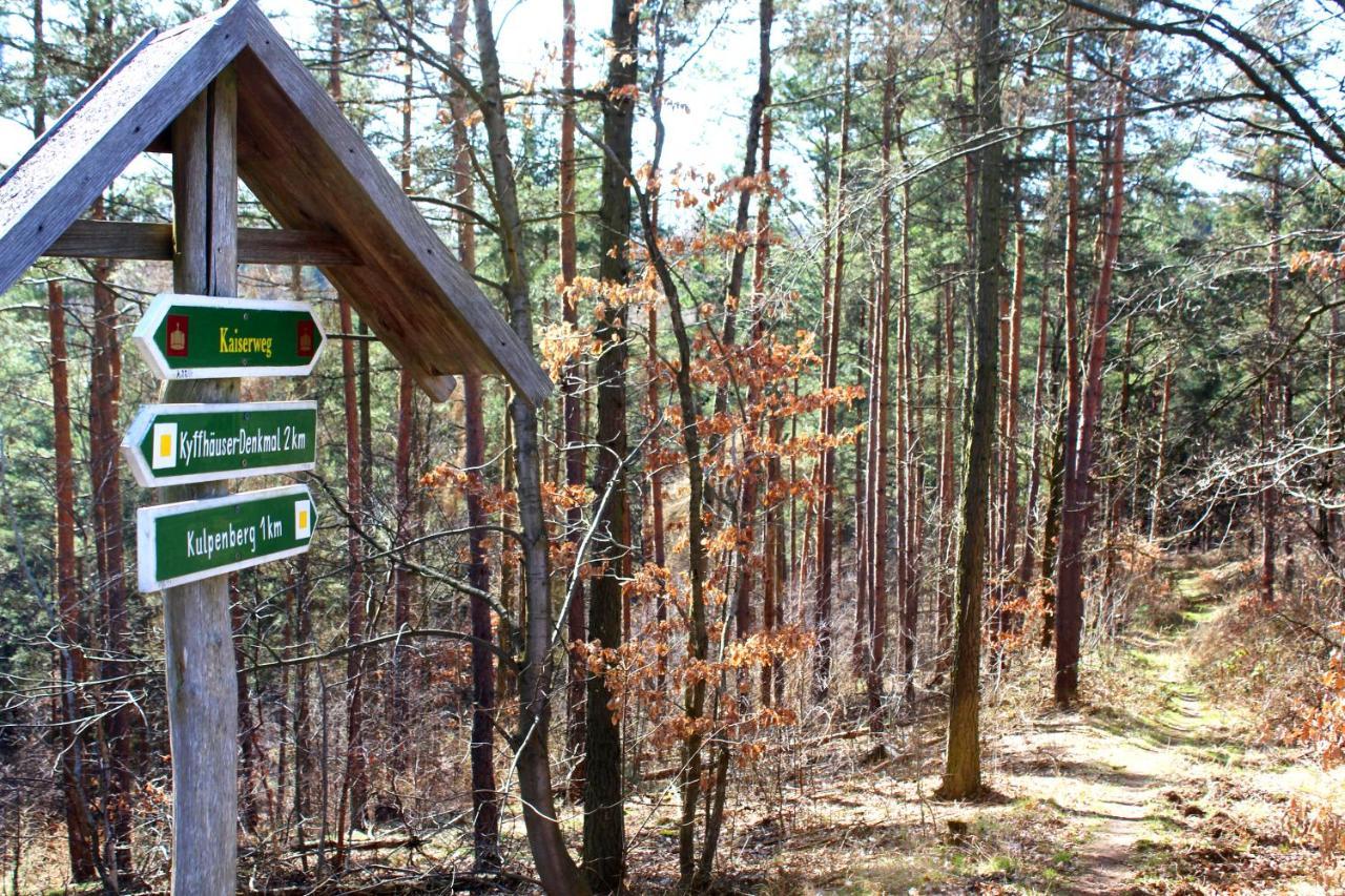 Burghof Kyffhaeuser Bad Frankenhausen Bagian luar foto