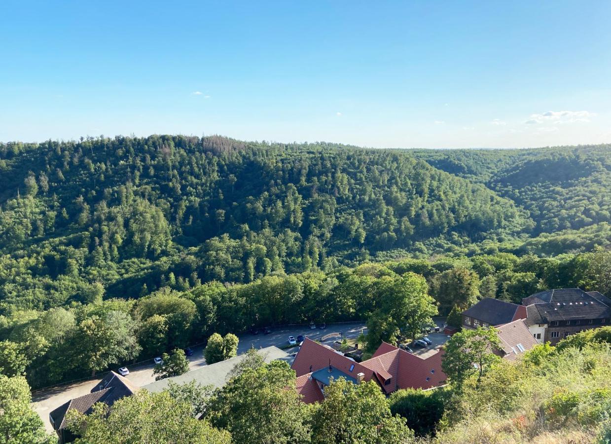 Burghof Kyffhaeuser Bad Frankenhausen Bagian luar foto