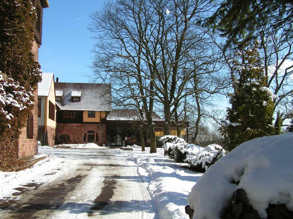 Burghof Kyffhaeuser Bad Frankenhausen Bagian luar foto